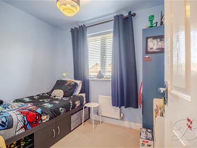 Picture 29